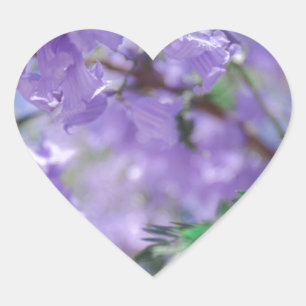 Paarse Jacaranda-boombloemen Hart Sticker