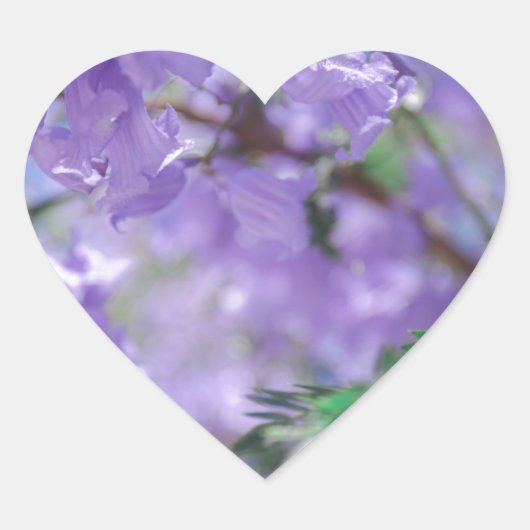 Paarse Jacaranda-boombloemen Hart Sticker (Voorkant)