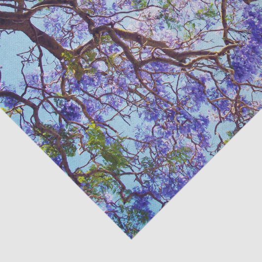 Paarse Jacaranda-boomolie verf, weefselpapier Tissuepapier (Detail)