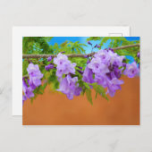 Paarse Jacaranda Flowers Briefkaart (Voorkant / Achterkant)