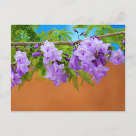 Paarse Jacaranda Flowers Briefkaart