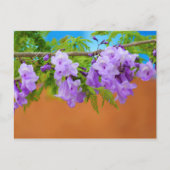 Paarse Jacaranda Flowers Briefkaart (Voorkant)