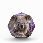 Paarse Jacaranda Koala Beer, Fotoblokken (Voorkant)