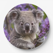 Paarse Jacaranda Koala Beer, Papieren Bordje (Voorkant)