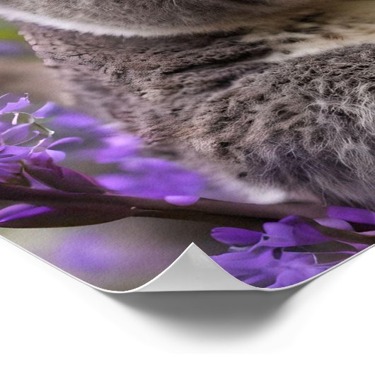 Paarse Jacaranda Koala Beer, Poster (Hoek)