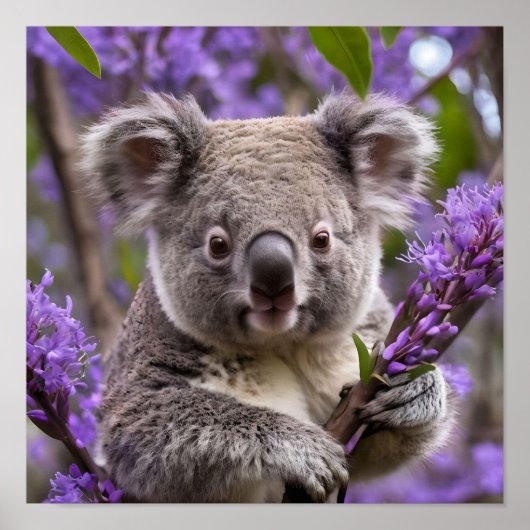 Paarse Jacaranda Koala Beer, Poster (Voorkant)