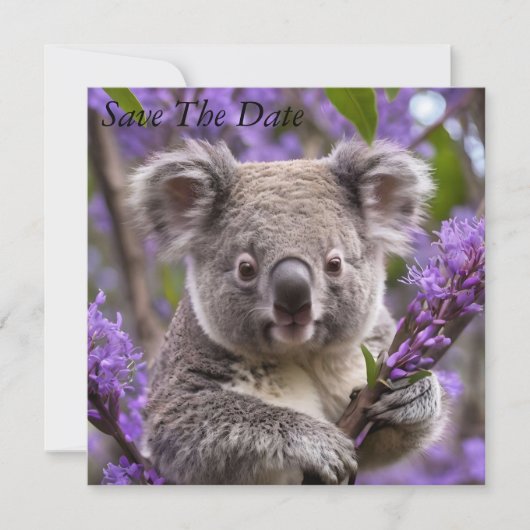 Paarse Jacaranda Koala Beer, Save The Date (Voorkant)