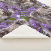 Paarse Jacaranda Koala Beer, Sherpa Deken (3/4)