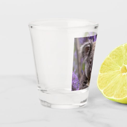 Paarse Jacaranda Koala Beer, Shot Glas (Links)