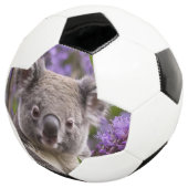 Paarse Jacaranda Koala Beer, Voetbal (Drie kwart)