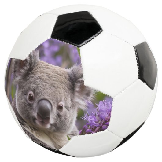 Paarse Jacaranda Koala Beer, Voetbal (Drie kwart)