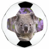 Paarse Jacaranda Koala Beer, Voetbal (Voorkant)