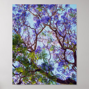 Paarse Jacaranda Tree Oil Painting, Poster