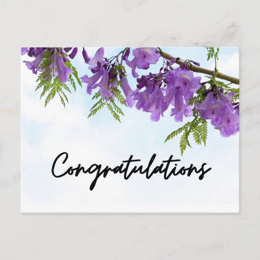 Paarse Jacarandabloemen Gefeliciteerd Briefkaart (Voorkant)
