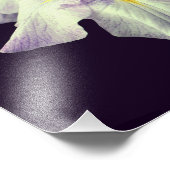 Paarse Japanse Iris Bloem Close Up 8x10 Foto Afdruk (Hoek)