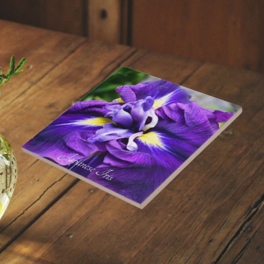 Paarse Japanse Iris Bloem Floral Tegeltje