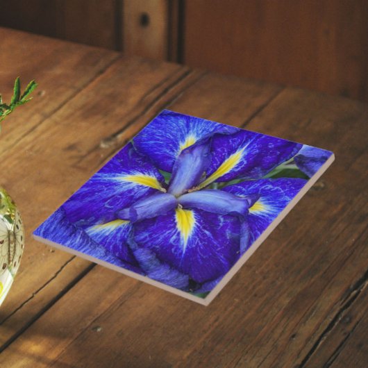 Paarse Japanse Iris Bloem Tegeltje