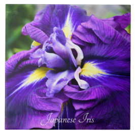 Paarse Japanse Iris Bloom Floral Tegeltje