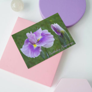 Paarse Japanse Iris Floral Birthday Kaart