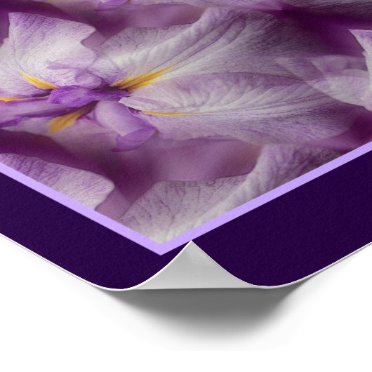 Paarse Japanse Iris Flower Abstract Poster (Hoek)