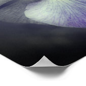 Paarse Japanse Iris-ventilator gedeeltelijke kleur Poster (Hoek)