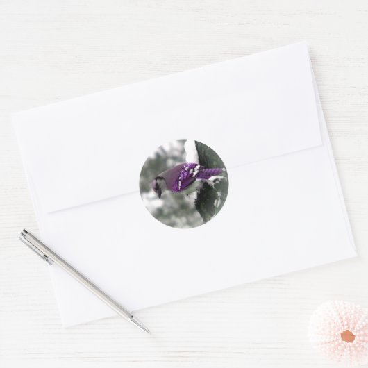 Paarse Jay Bird Stickers (Envelop)