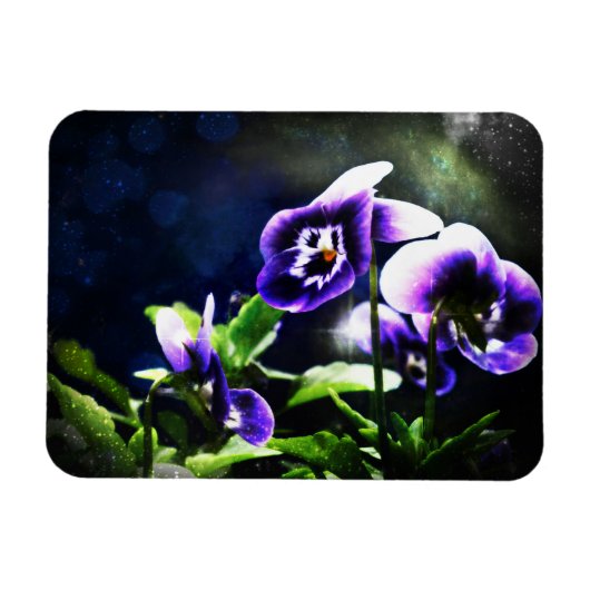 Paarse Johnny Jump Ups en Stars Magneet (Horizontaal)