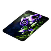 Paarse Johnny Jump Ups en Stars Magneet (Linkerzijde)