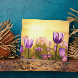 Paarse Jubilee Plaque Fotoplaat