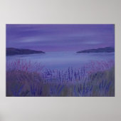 Paarse kaapskop poster (Voorkant)