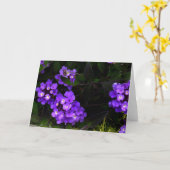 Paarse Kaart Lantana #1 (Gele Bloem)