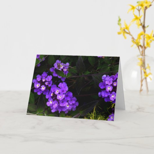 Paarse Kaart Lantana #1 (Gele Bloem)