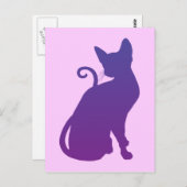 Paarse kat briefkaart (Voorkant / Achterkant)