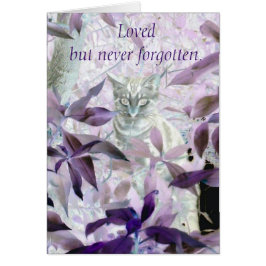 Paarse kat Sympathie Pet Loss