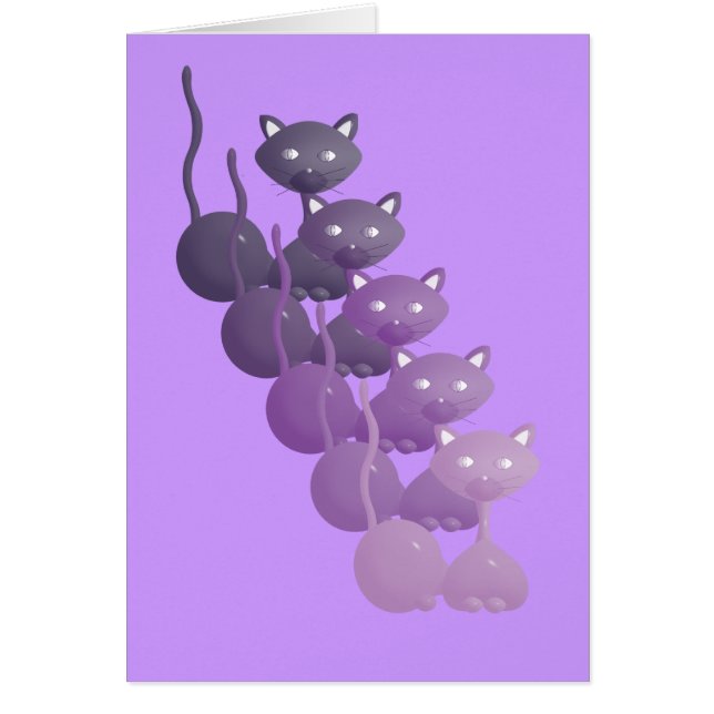 Paarse katten (Voorkant)