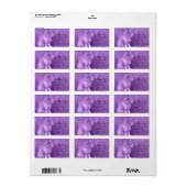 Paarse katten Adresetiketten Etiket (Full Sheet)