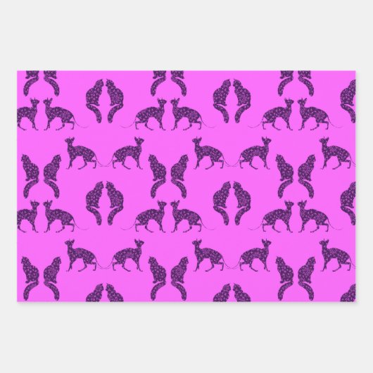 Paarse katten inpakpapier vel (Voorkant 2)