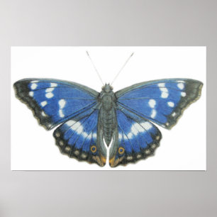 Paarse keizer 2012 poster