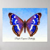 Paarse keizer Butterfly Waterverf Schilderafdrukke Poster (Voorkant)