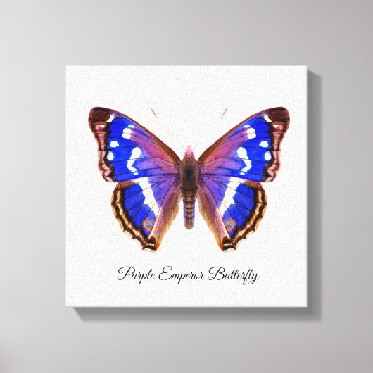 Paarse keizer Butterfly Waterverf schilderen Canvas Afdruk (Voorkant)
