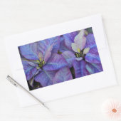 Paarse kerst poinsettia rechthoekige sticker (Envelop)