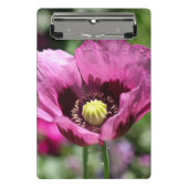 Paarse klaproos mini klembord (Voorkant)