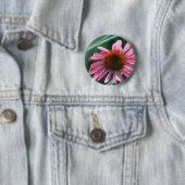 Paarse Knoop Coneflower Ronde Button 5,7 Cm (In situ)