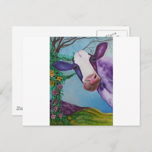 Paarse koe briefkaart (Voorkant / Achterkant)