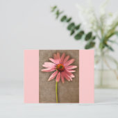 Paarse kone ventilator Echinacea purpureum Briefkaart (Staand voorkant)