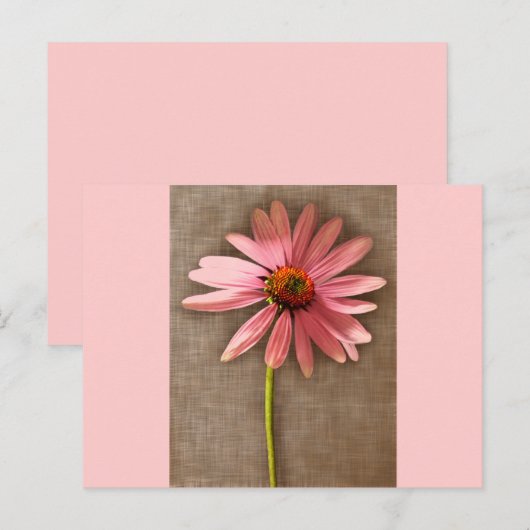 Paarse kone ventilator Echinacea purpureum Briefkaart (Voorkant / Achterkant)