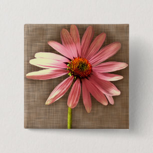 Paarse kone ventilator Echinacea purpureum Vierkante Button 5,1 Cm