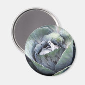 paarse kool magneet (Voorkant / Achterkant)