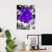 Paarse koorts poster (Thuiskantoor)