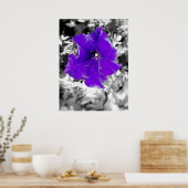 Paarse koorts poster (Keuken)